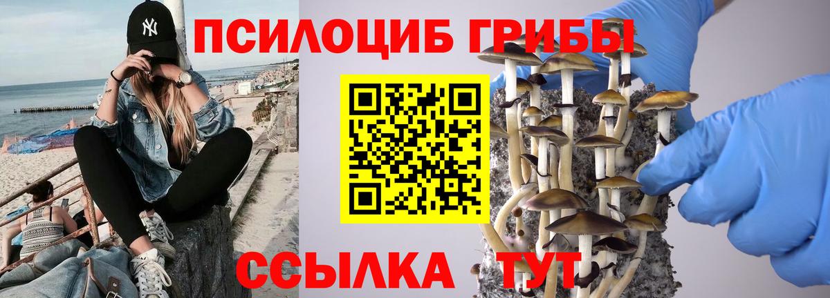 Стрежевой  Псилоцибиновые грибы мухоморы  Галлюциногенные грибы Psilocybine cubensis  где купить наркотик  Вход с VPN 