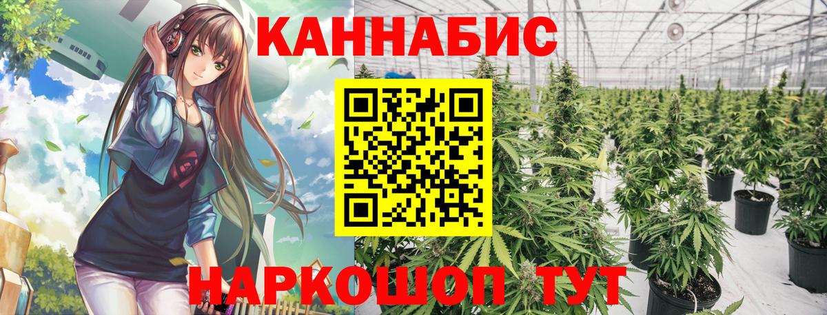 Канабис VHQ  Вход с VPN  Шишки марихуана сатива  Стрежевой  Марихуана план 